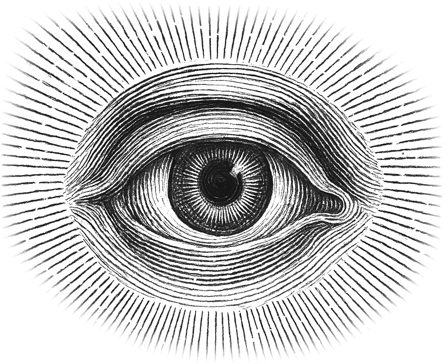 Eye